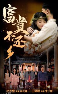 富贵不还乡 海报