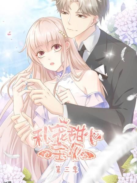 私宠甜心宝贝第三季 海报