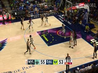 WNBA 纽约自由人VS达拉斯飞马 20230906 海报