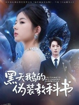 黑天鹅的伪装教科书 海报