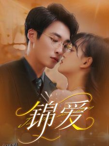 锦爱 海报