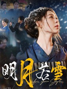 明月若雪 高清海报