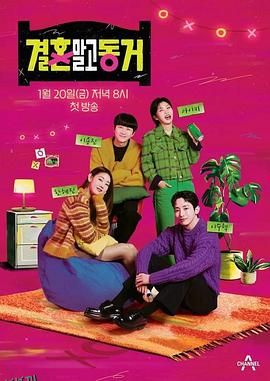 不是结婚而是同居 海报