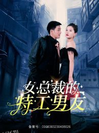 女总裁的特工男友 海报