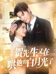 贺先生又在哄他的白月光了 海报