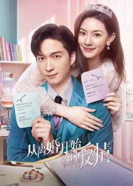 从离婚开始的爱情 海报