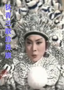 狄青三取珍珠旗 高清海报