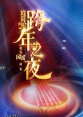 2025北京卫视跨年 海报