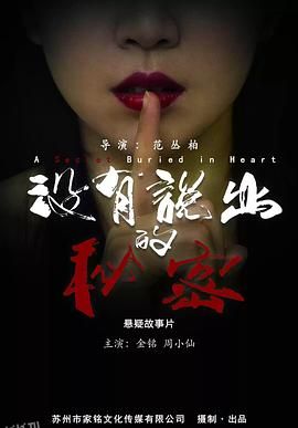 没有说出的秘密 海报