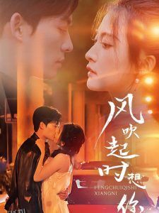 风吹起时想你 海报