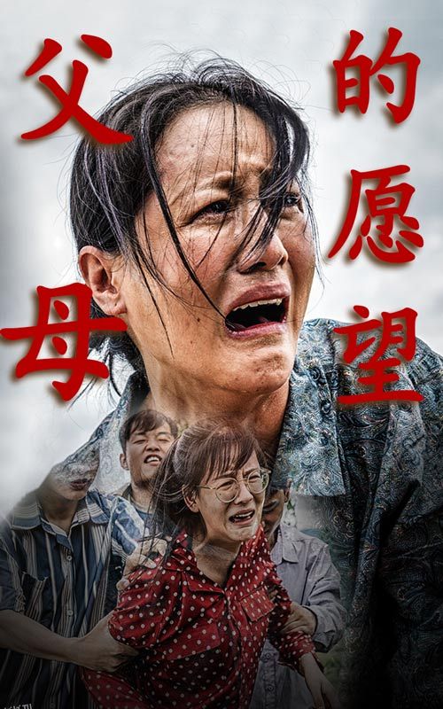 父母的愿望 海报