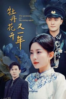 牡丹花开又一年 海报