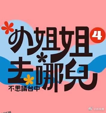 小姐姐去哪儿 海报