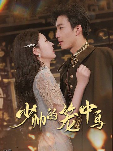 少帅的笼中鸟 海报