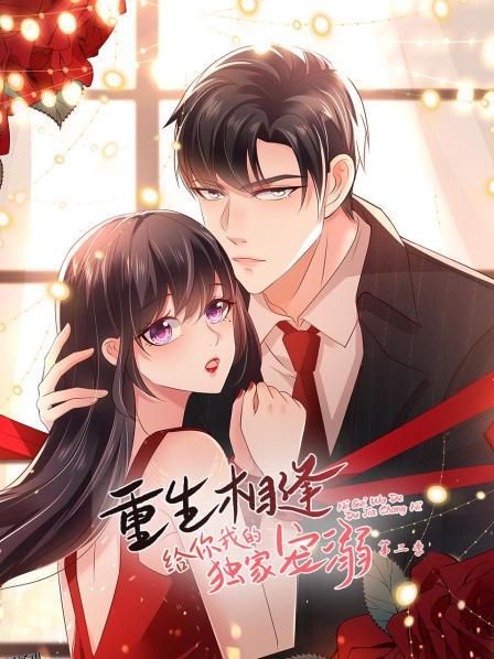 重生相逢：给你我的独家宠溺第二季 海报