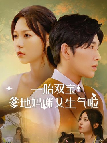 一胎双宝爹地妈咪又生气啦 海报