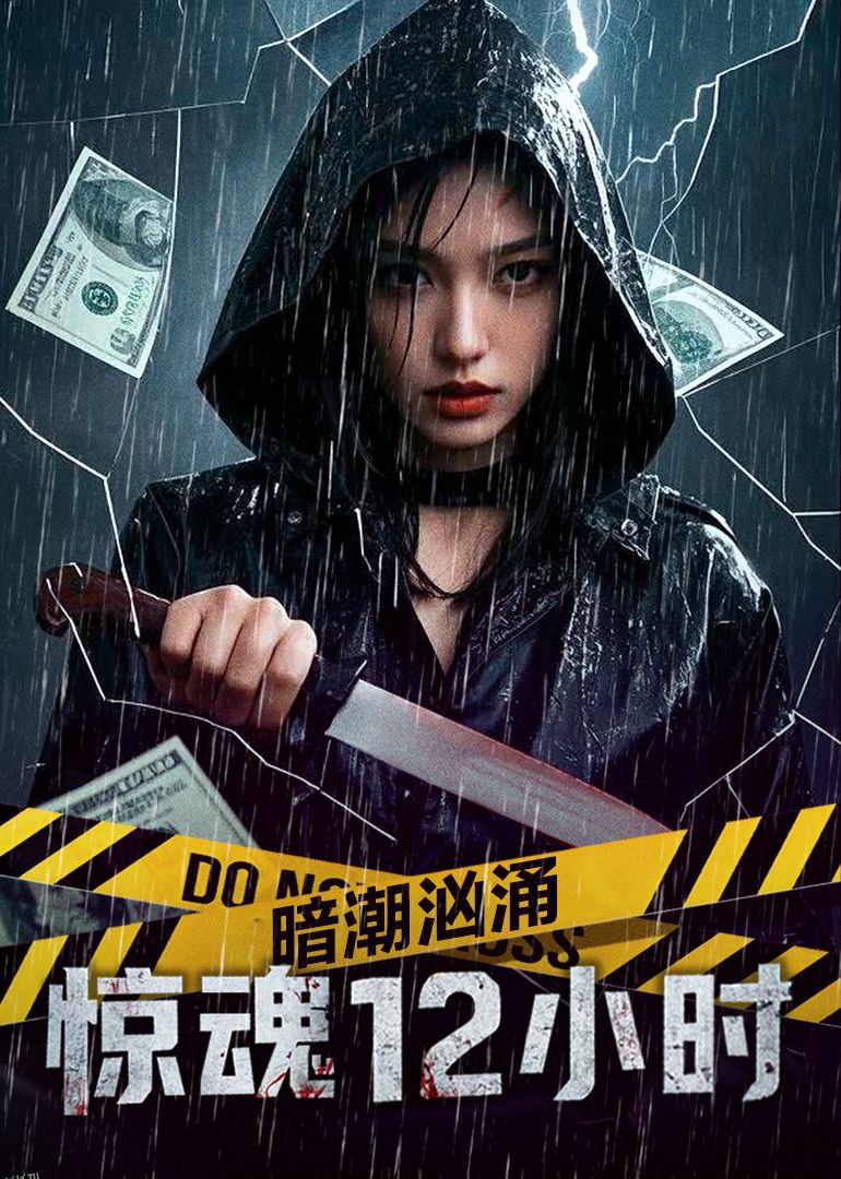 暗潮汹涌之惊魂12小时 海报