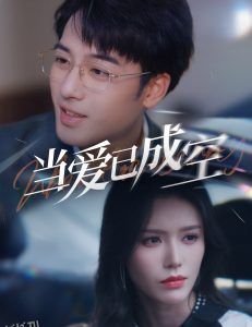 当爱已成空30集 高清海报