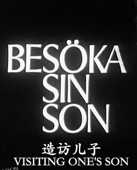造访儿子 海报