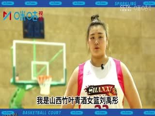 WCBA常规赛第16轮 东莞新彤盛VS山西竹叶青酒 20231128（字诚） 海报