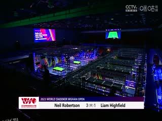 斯诺克 利亚姆·海菲尔德5-3尼尔·罗伯逊 20231010 海报