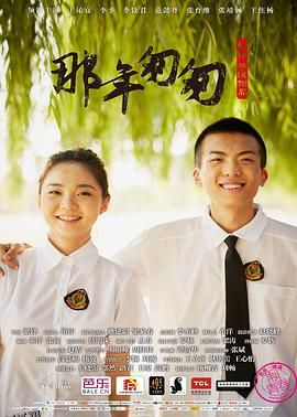 那年匆匆 海报