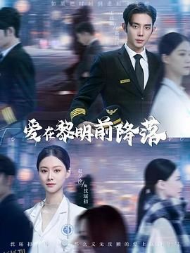 爱在黎明前降落 海报