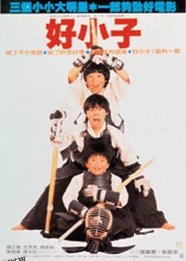 好小子[电影解说] 高清海报