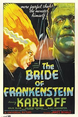 科学怪人的新娘[电影解说] 高清海报