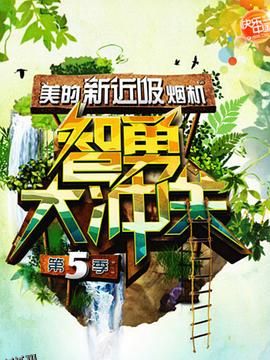 智勇大冲关第五季 海报