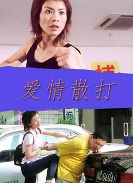 爱情散打 海报