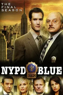 纽约重案组第十二季 海报