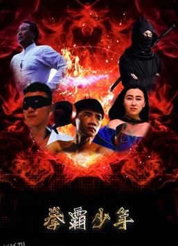 拳霸少年 海报
