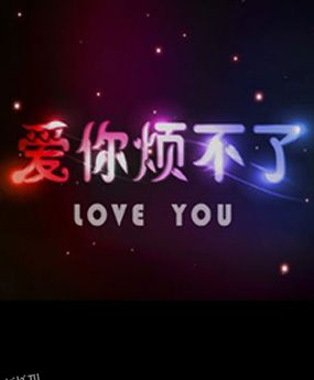 爱你烦不了 海报