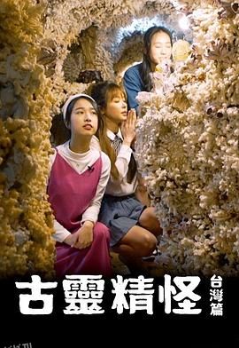 古灵精怪台湾篇 海报