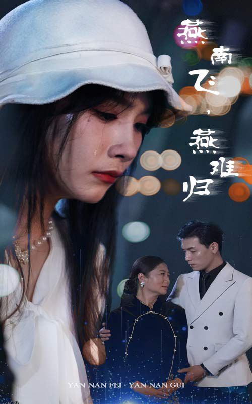 燕南飞，燕难归 海报