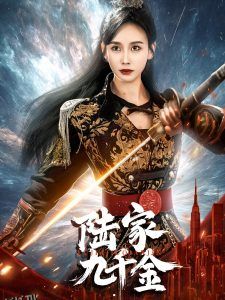 陆家九千金 海报