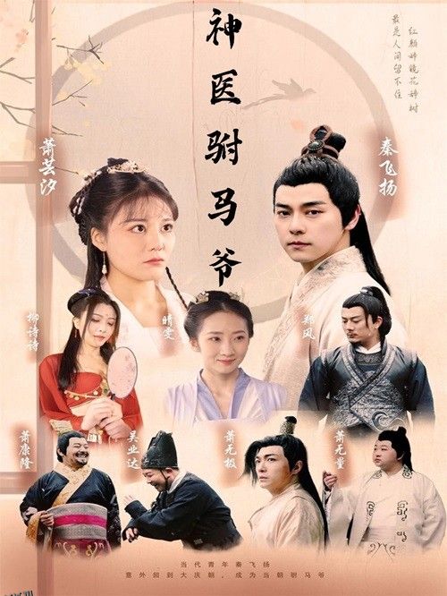 神医驸马爷 海报