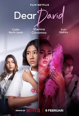 亲爱的大卫 高清海报