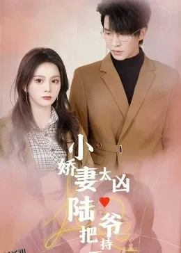 小娇妻太凶，陆爷把持不住了 海报