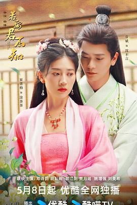 若要君不知 高清海报