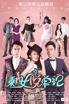 剩女脱单记 海报
