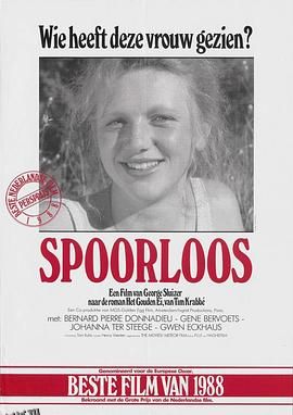 神秘失踪[电影解说] 海报