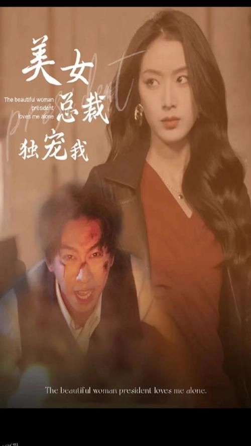 美女总裁独宠我 海报