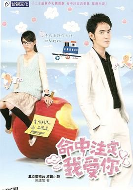 命中注定我爱你2008 海报