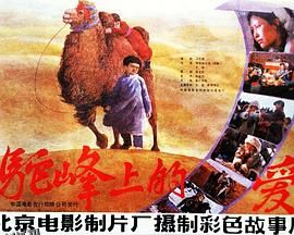 驼峰上的爱 海报