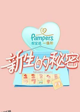 新生的秘密 海报