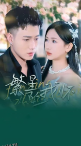 繁星坠我怀 海报