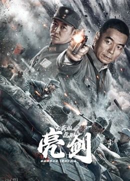 亮剑之英雄虎胆 海报