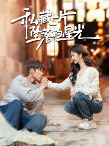 私藏一片坠落的星光 海报